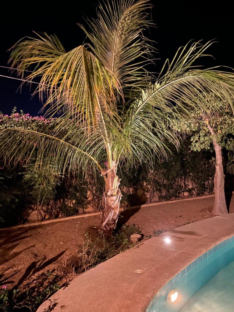 VILLA SOMONE avec PISCINE PRIVÉE photo 3