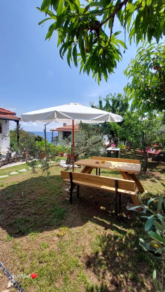 Katerina Fotopoulos Rooms & Apartments - Papanero com photo 4