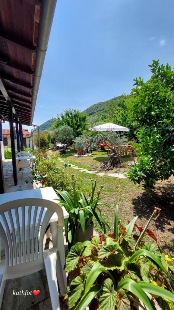 Katerina Fotopoulos Rooms & Apartments - Papanero com photo 3
