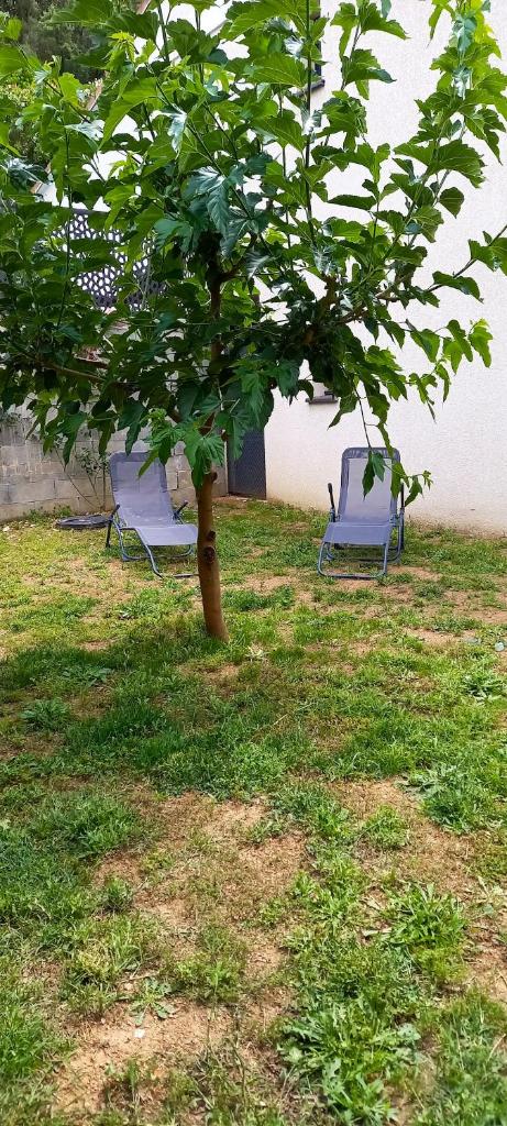 Appartement de 2 chambres avec jardin amenage et wifi a Cuttoli Corticchiato photo 2