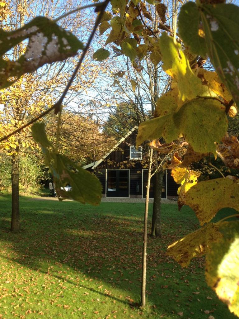 De Voshaar photo 2