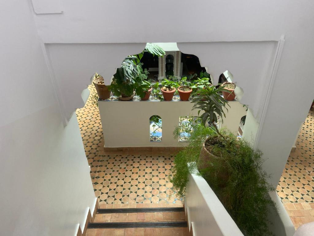 Riad Salt River photo 3