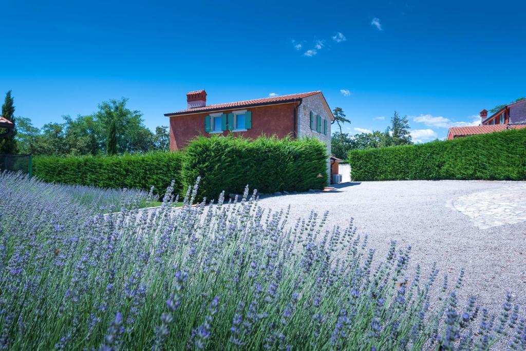 Villa Goretini with private pool photo 3