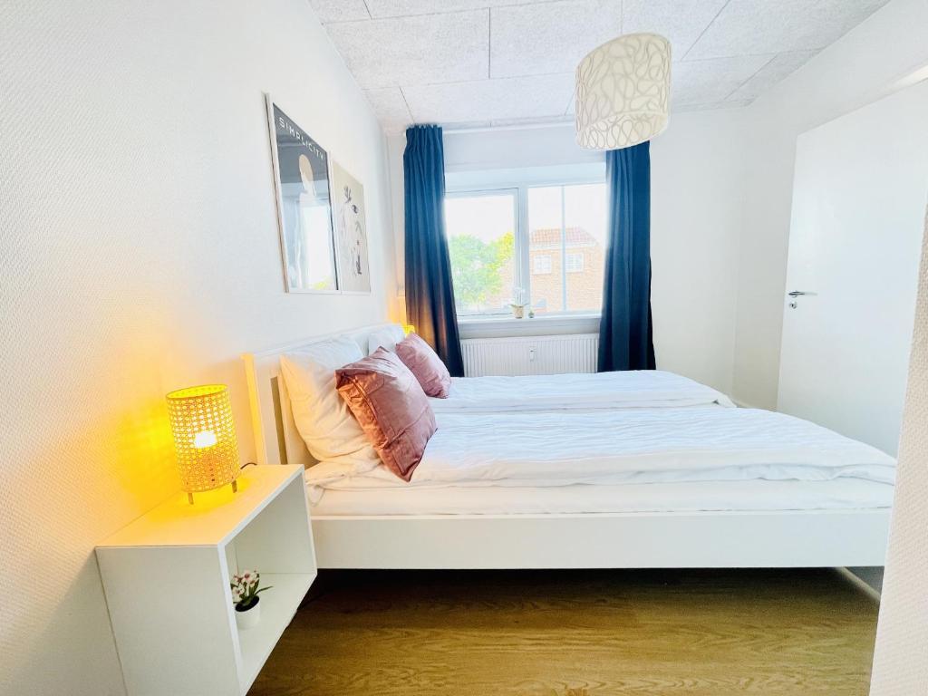 aday - Luminous apartment with 2 bedrooms photo 4