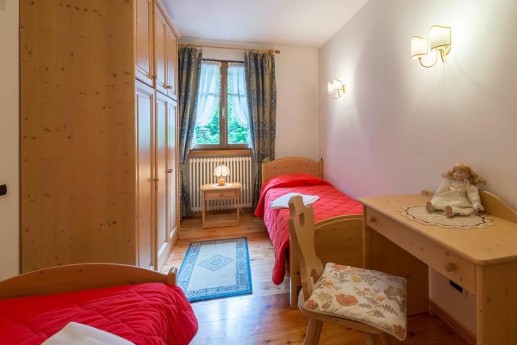 Cozy apartment near Cortina photo 3