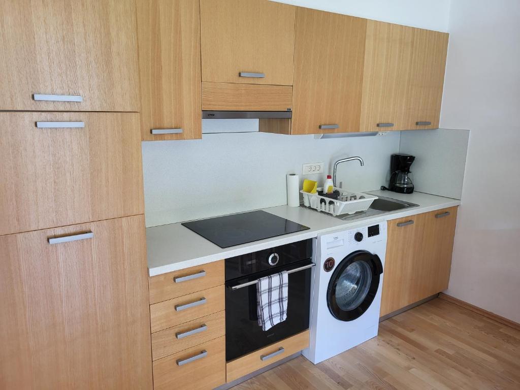 Apartma Runi pod Zlato lisico photo 1