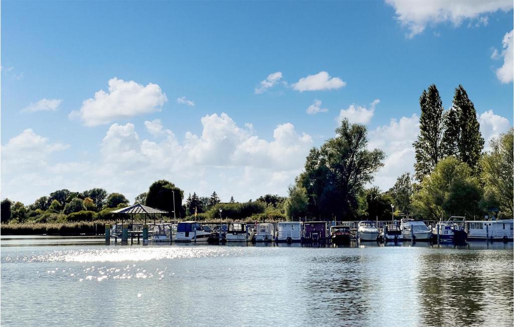 Awesome Ship-boat In Beetzsee With Wifi And 2 Bedrooms photo 3