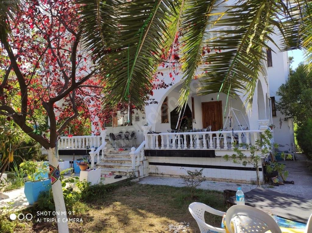 Tatil Evi Triblex photo 2