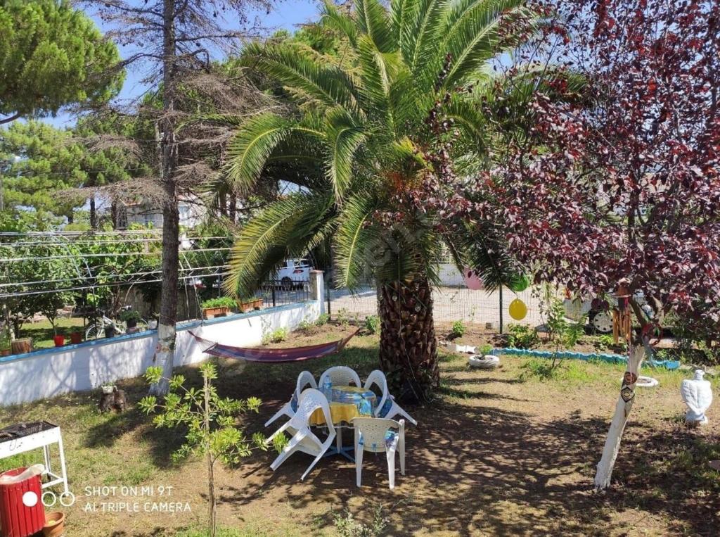 Tatil Evi Triblex photo 3