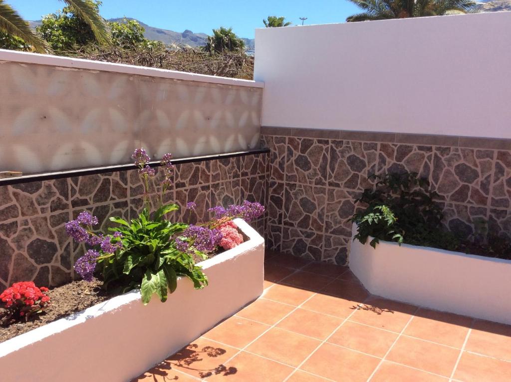 La Palmita de Canarias photo 2