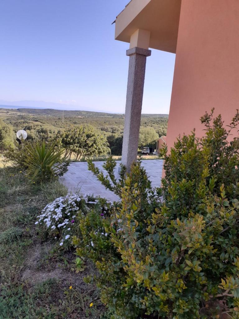 agriturismo gli olivastri appartamento raggio di sole , con piscina e vista mare photo 4