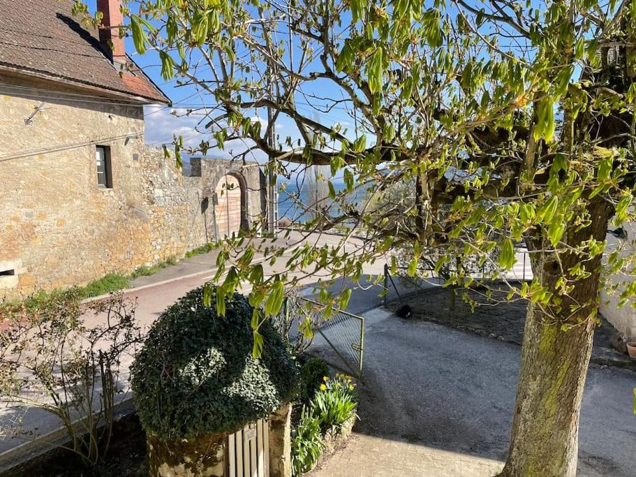 Gîte Au Bout du Lac photo 3