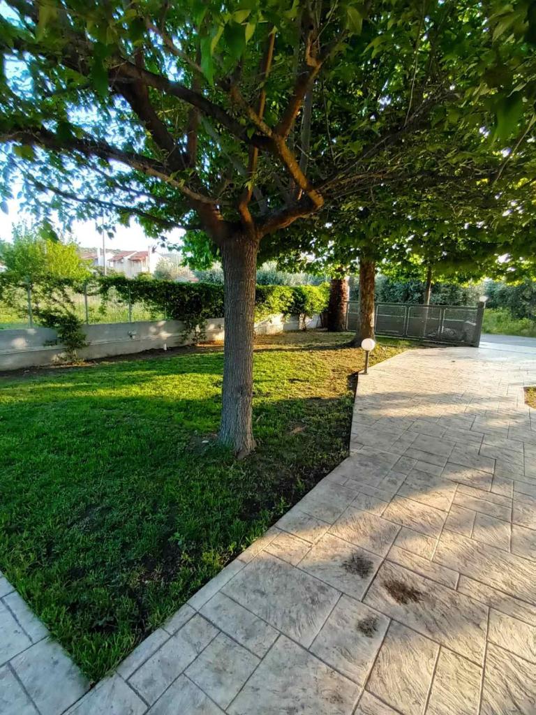 Nikolas home photo 3
