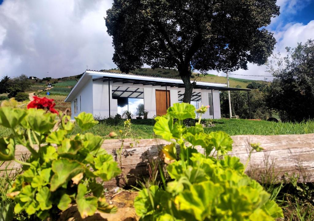 Finca La Piedra photo 4