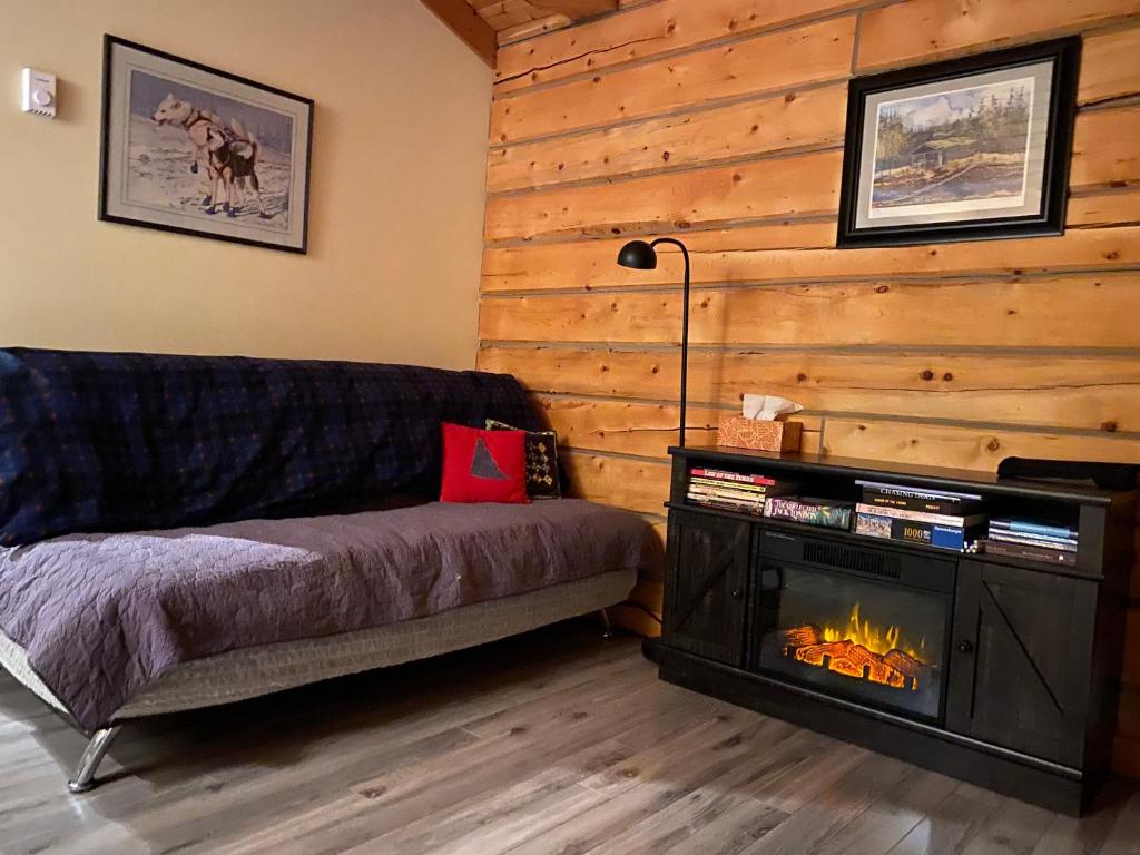 Oma's and Opa's Northern Lights Viewing Cabin photo 4