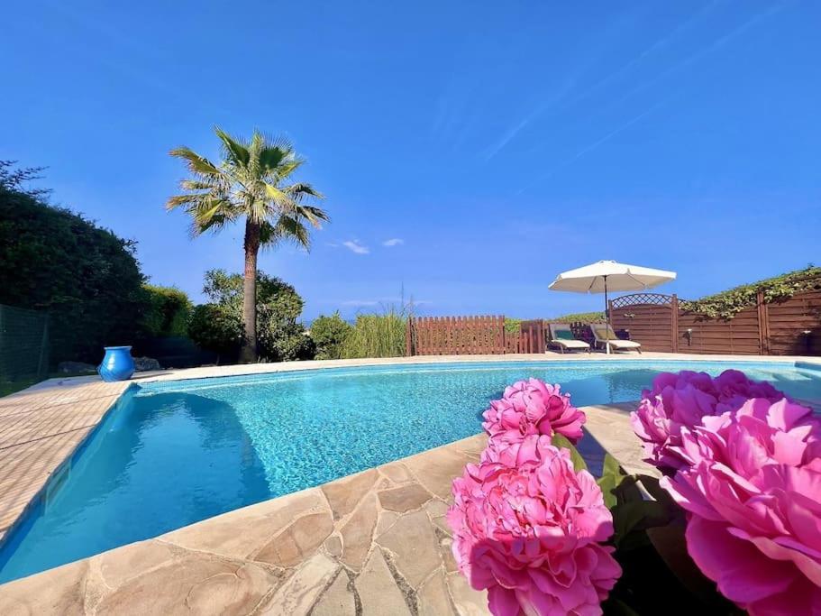 Jolie maison familiale photo 3