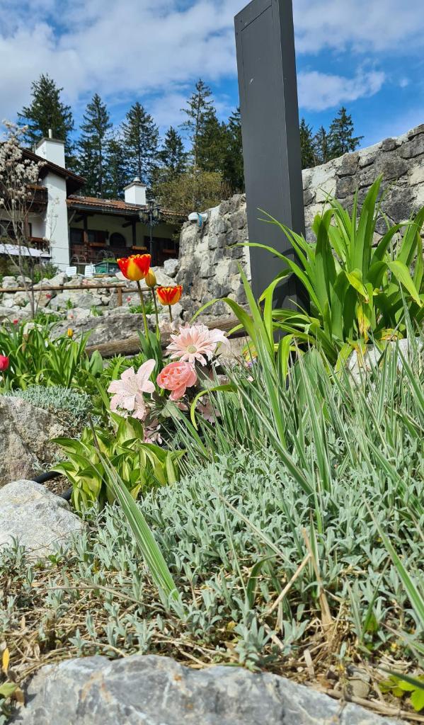 Alpenchalet Zum Jeremia photo 2