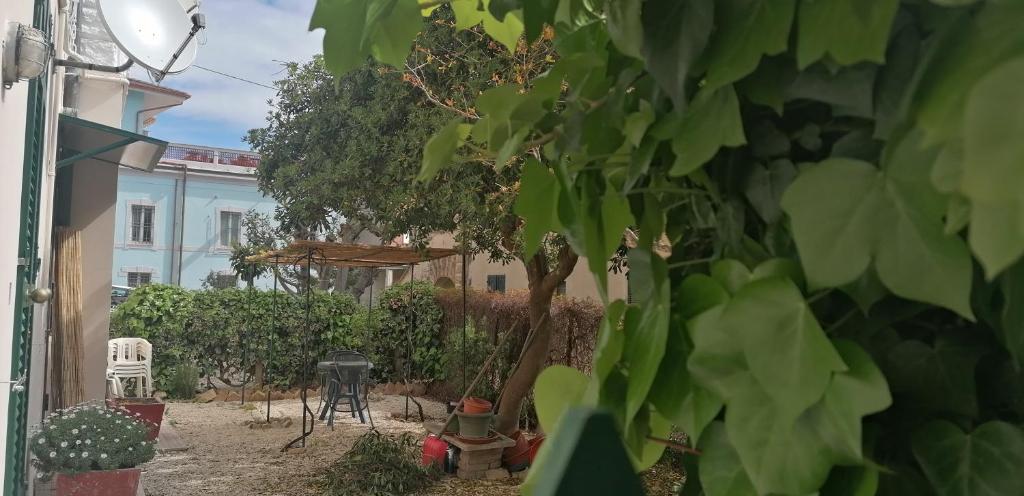 Il Giardino di Maura - Aemme2 photo 4