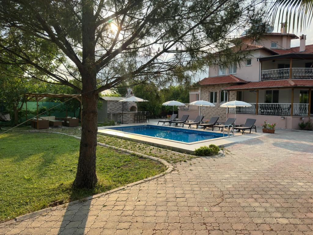 Aysel Villa photo 4