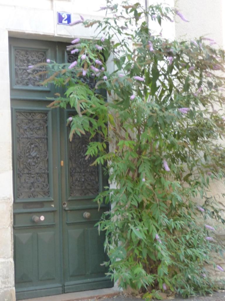 2 DESCARTES photo 1