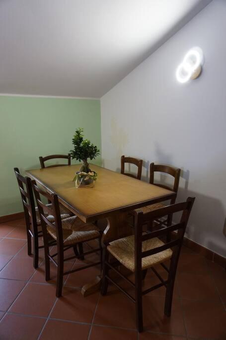 SAILA appartamento MARTE photo 3