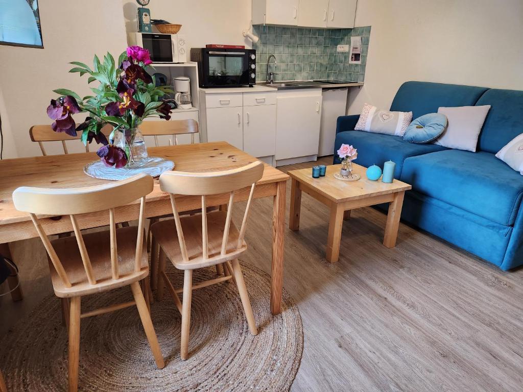 Gite Bruyère 2 à 5 pers dans Residence des Buis avec SPA photo 4
