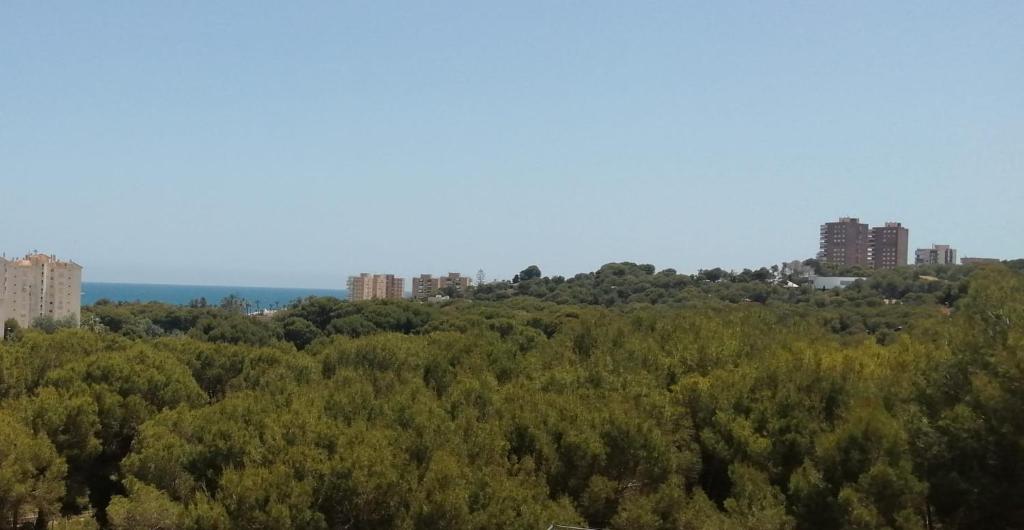 Campoamor Seaview photo 4