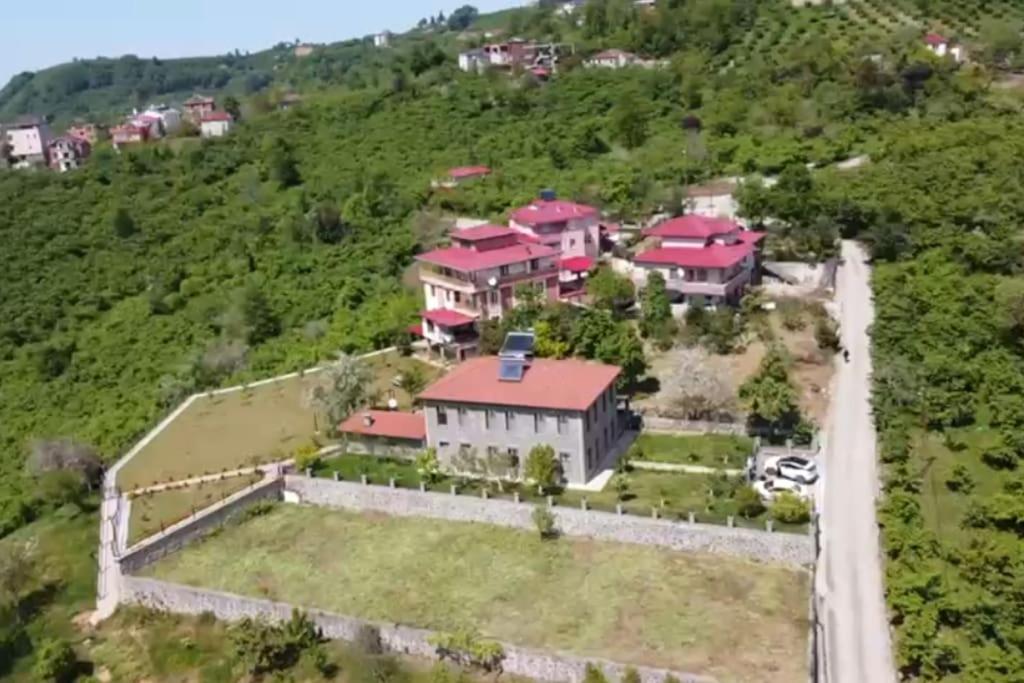 Oasis Mountain Villa photo 2