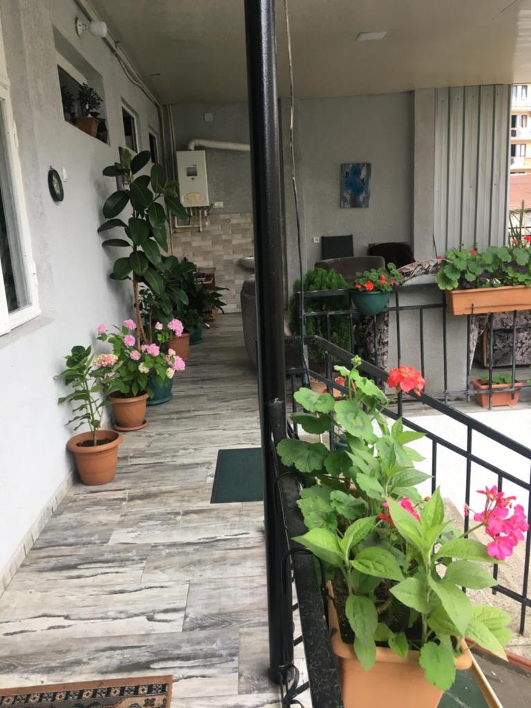 Eka Guest House photo 2