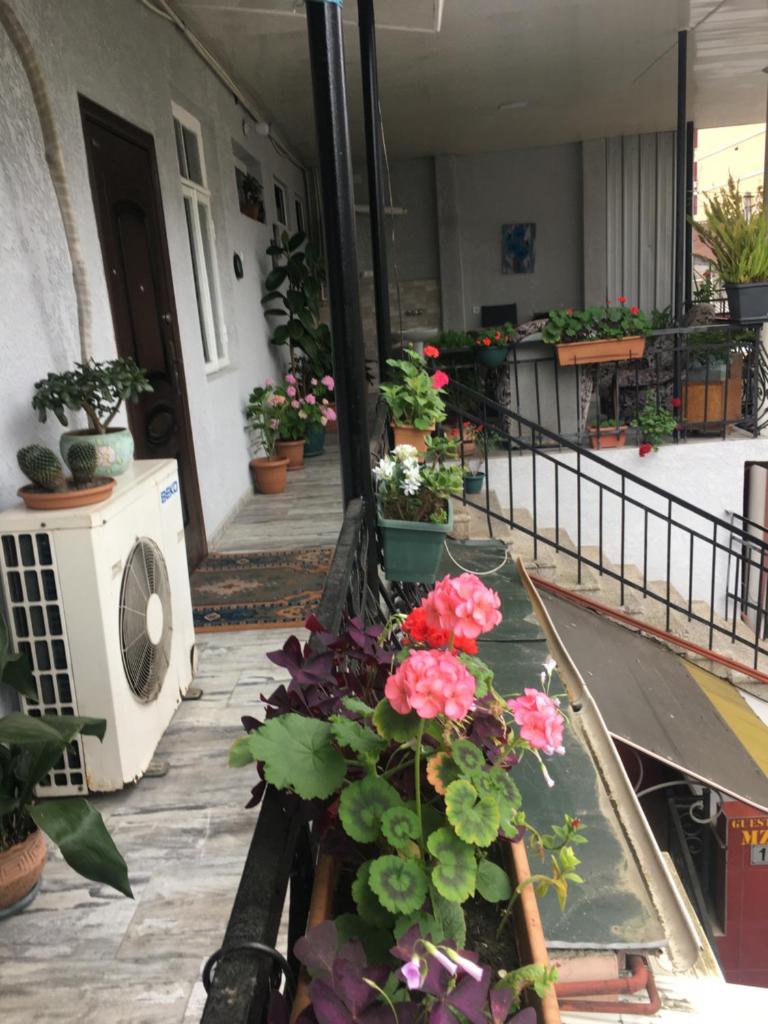 Eka Guest House photo 1