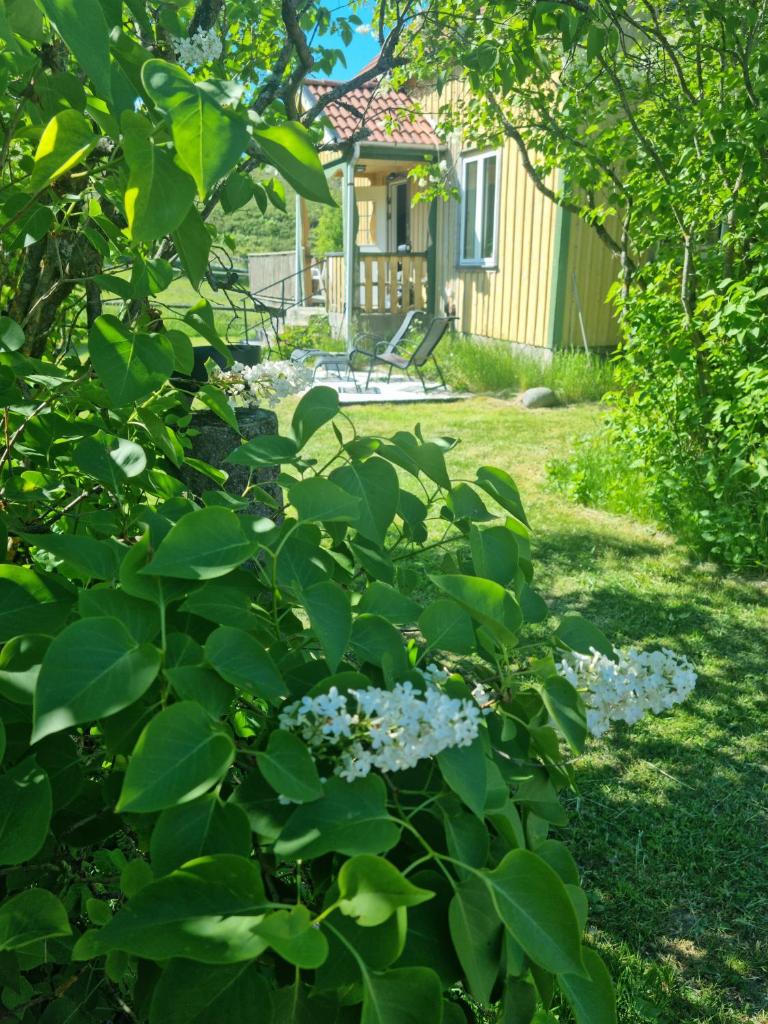 Charmigt hus på landet nära till bad