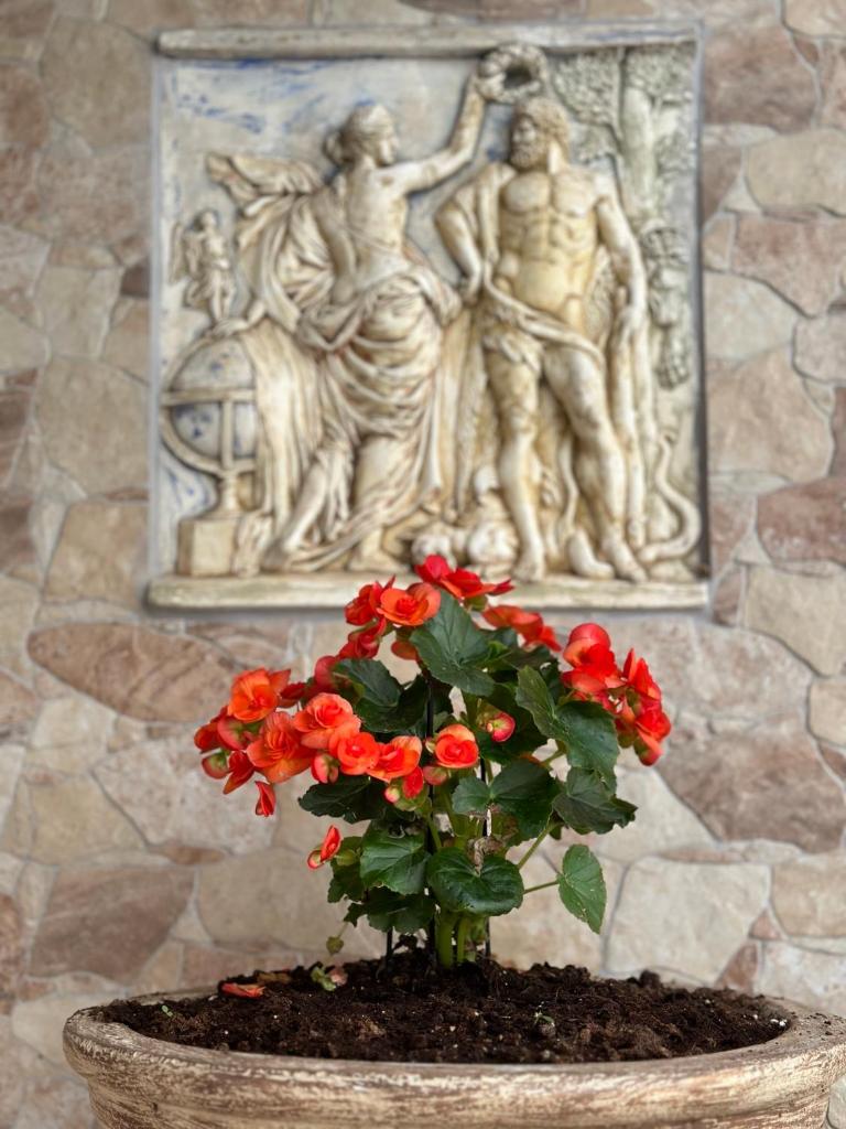 The Odyssey Holiday Home - Agios Ioannis, Pelion photo 1