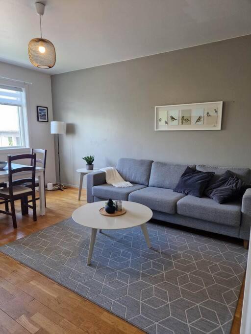 Apartment in Downtown Reykjavík photo 1