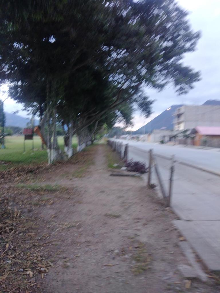 Suzet House photo 4