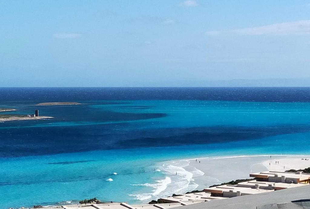 A.Mare photo 1