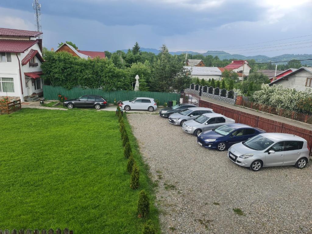 Zori de zi Breaza photo 2