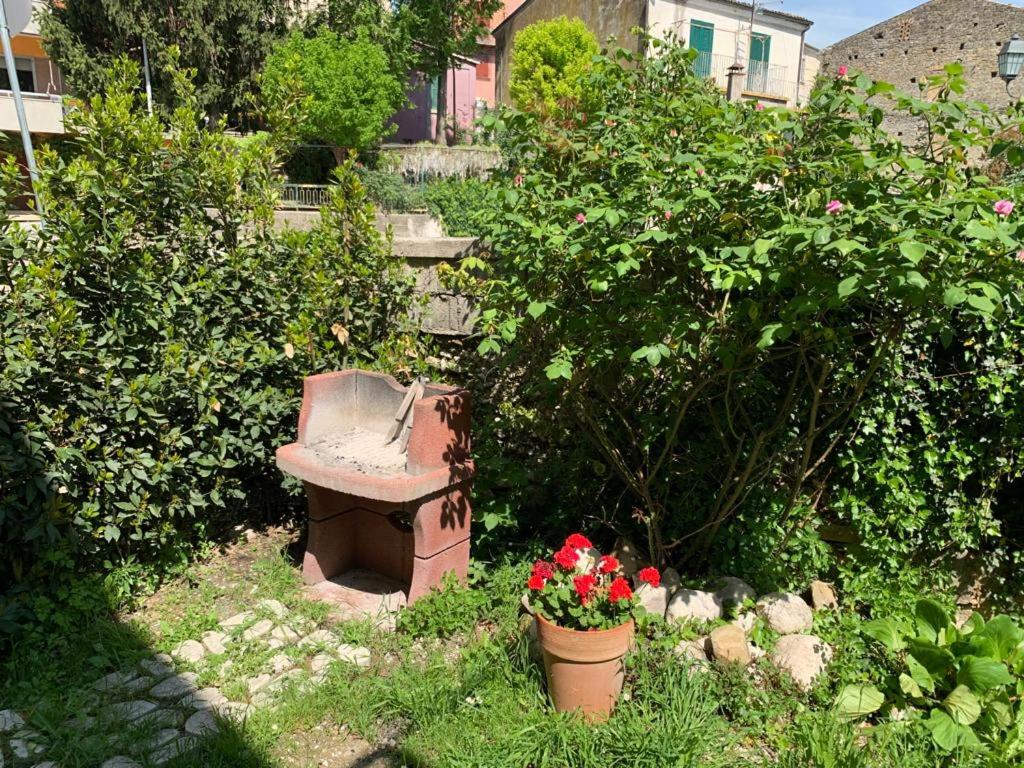 Il Casolare photo 4
