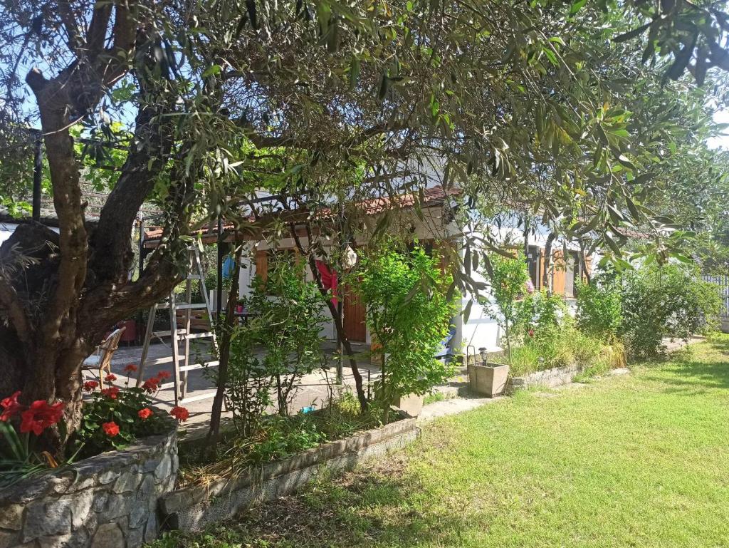 Zephyr Guest House photo 4