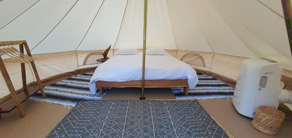 Kite Escape Glamping photo 2