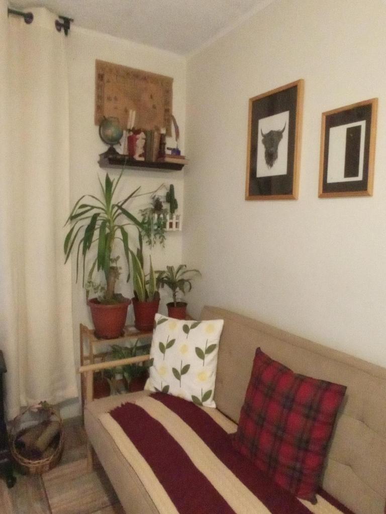 Dulce hogar photo 1