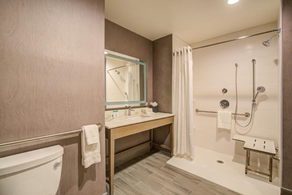 Holiday Inn Hotel & Suites - Houston West - Katy Mills, an IHG Hotel photo 1