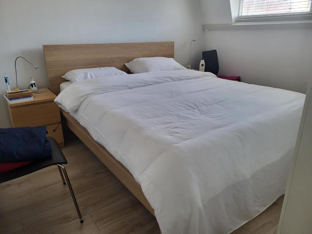 Beautiful spacious appartment at top location The Hague photo 1