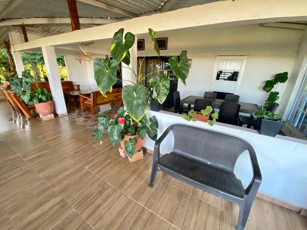 Hacienda Veracruz photo 4