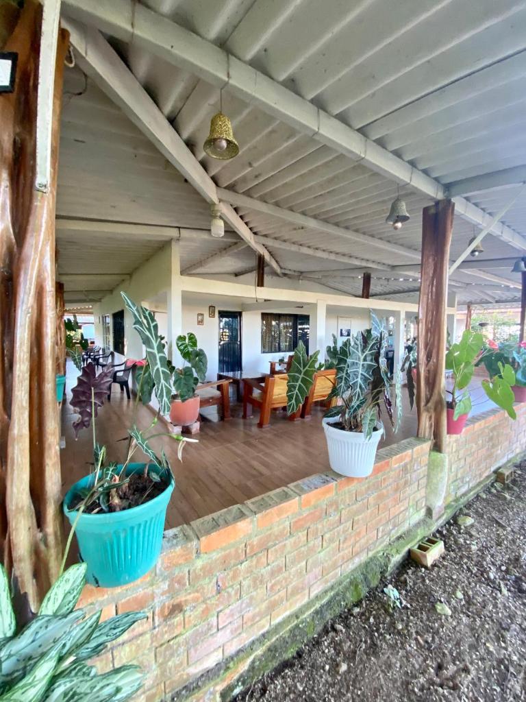 Hacienda Veracruz photo 1