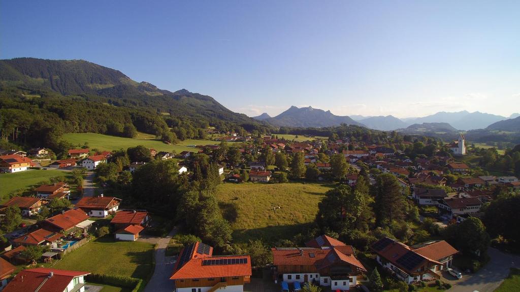 samerbergzeit photo 4