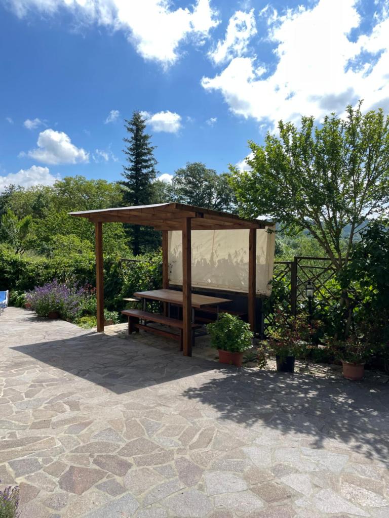 Villa Elisabetta photo 3