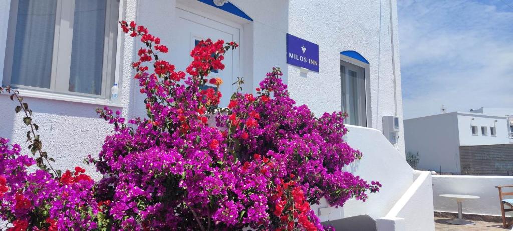 Milos Inn photo 1