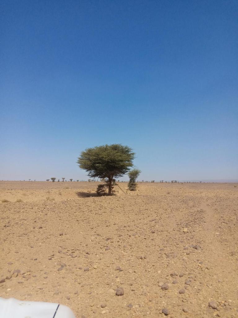 M'hamid Adventures photo 4