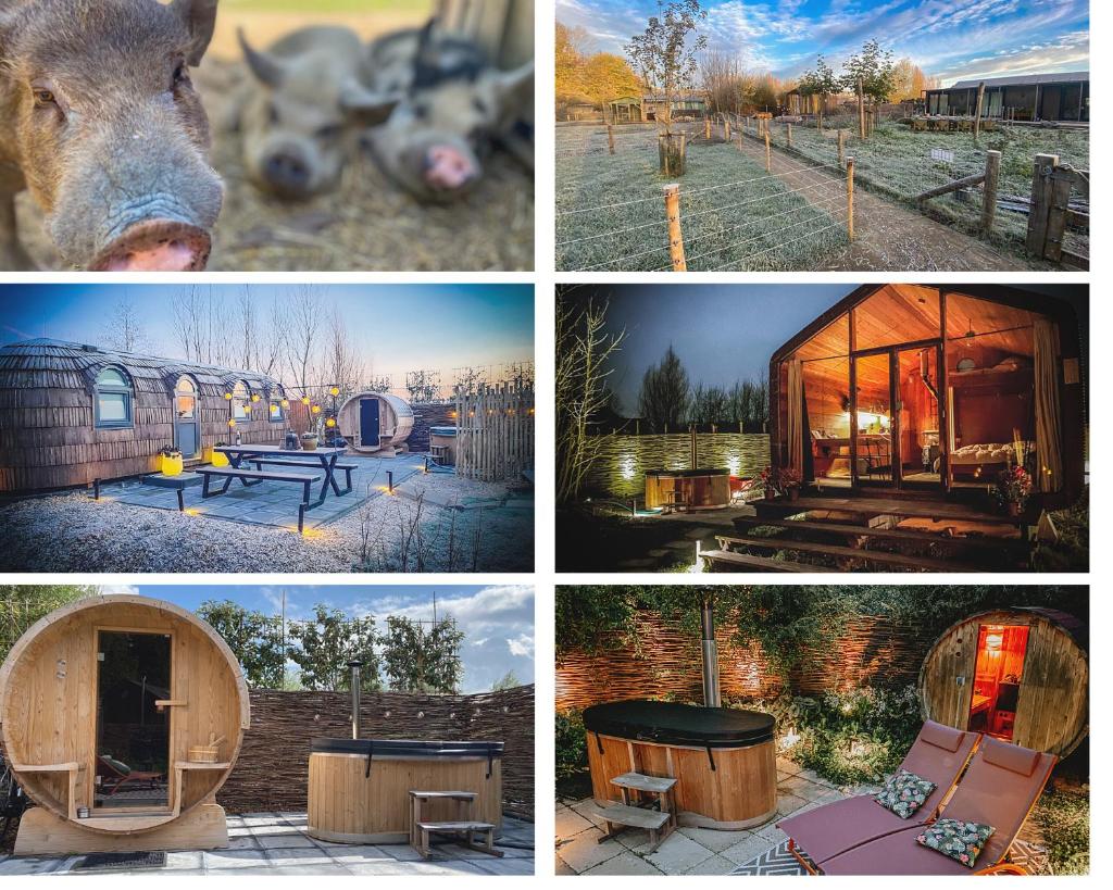 Bed & Wellness Klein Knorrestein with 2 romantic sustainable tiny house, use private hottub, sauna, tandembike included in price, just 30 minutes from Amsterdam photo 4