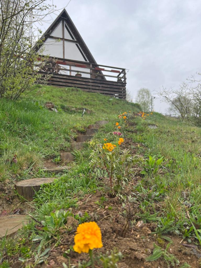 Файна хата 3 photo 2